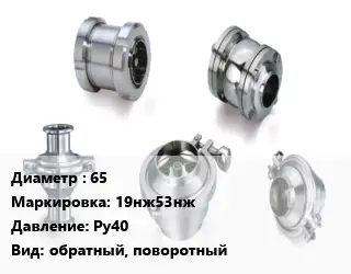 Клапан нержавеющий 65 19нж53нж Ру40 обратный, поворотный
